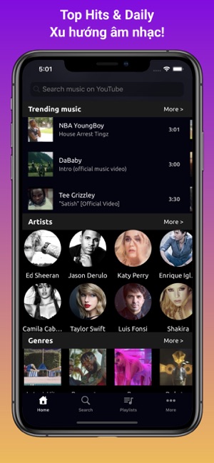 Online Music & Video Player