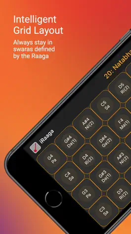 Game screenshot iRaaga hack