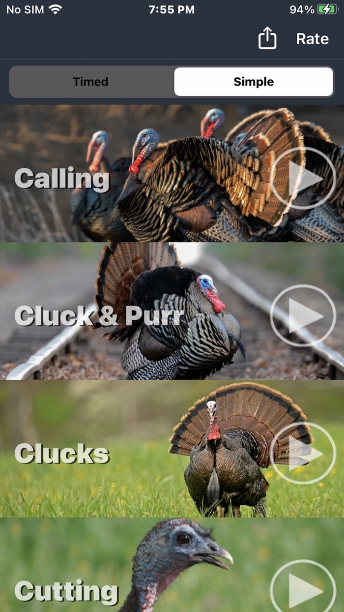 Turkey Calls for Hunting App