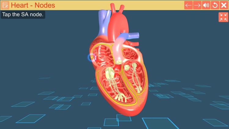 Cardiac pacemaker screenshot-4