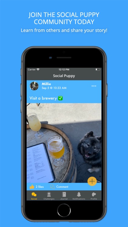 Social Puppy: Dog Training App screenshot-7