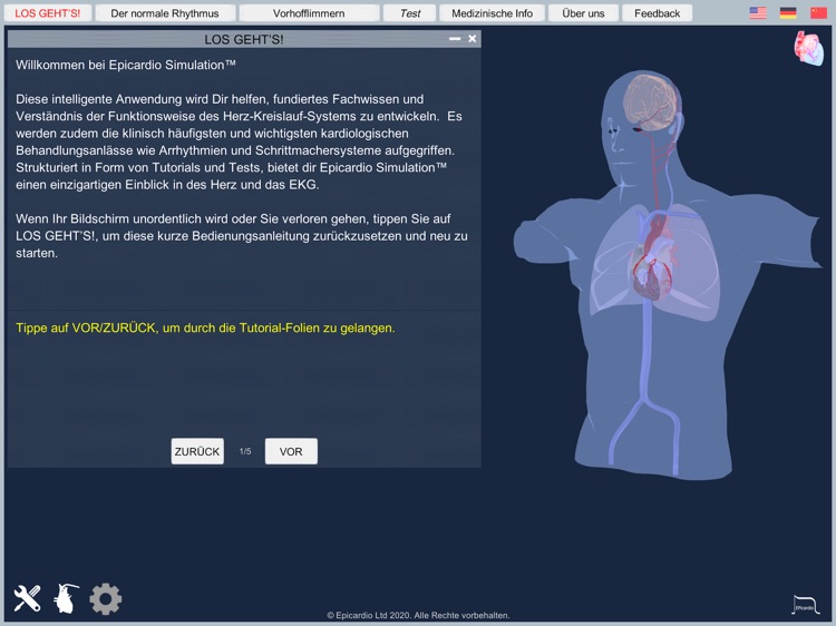 Atrial Fibrillation screenshot-8