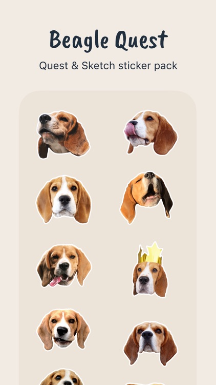 Beagle Quest