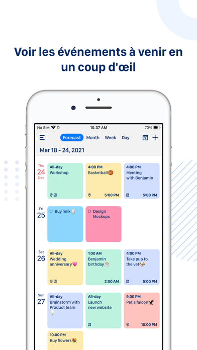 Tiny Calendar Pro Tiny Calendar Pro