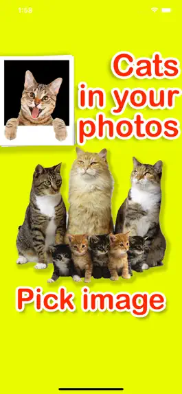 Game screenshot Cats in your photos mod apk