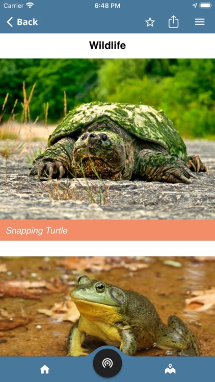 Heartland Forest Trails