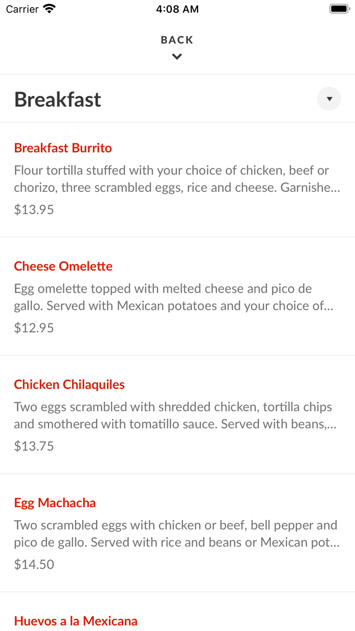 Don Gustavos Mexican Grill