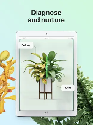 Screenshot 4 PictureThis - Plant Identifier iphone