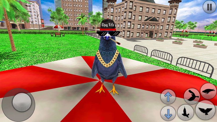 City Bird Pigeon Simulator screenshot-3