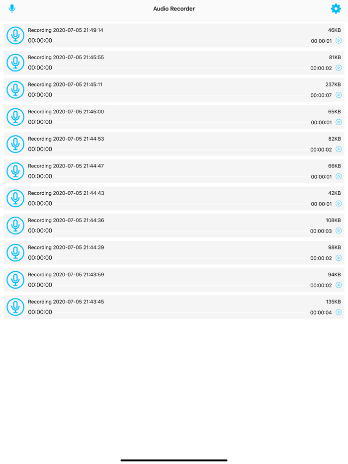 Audio Recorder For Voice