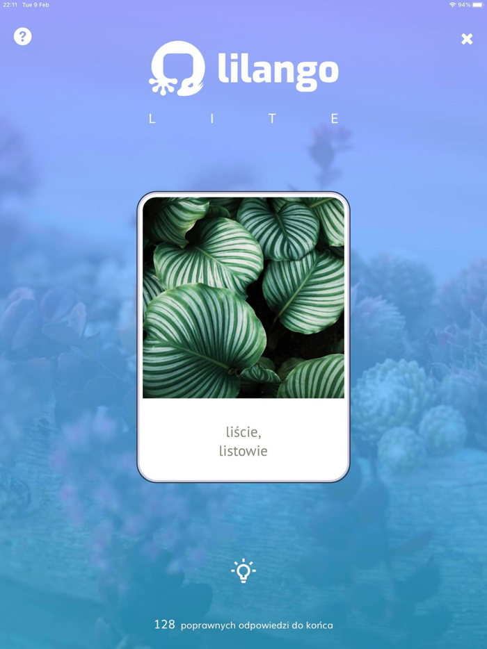 Lilango LITE Fiszki angielskie
