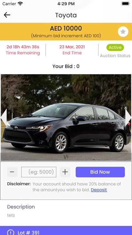 BidinCars Auctions