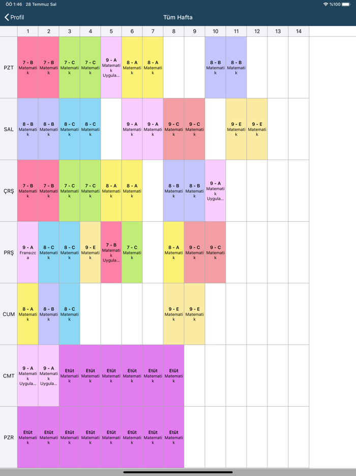 Özlem Çelen Akademi