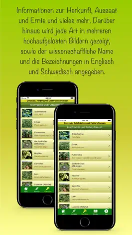 Game screenshot Getreide & Feldfrüchte & Quiz hack