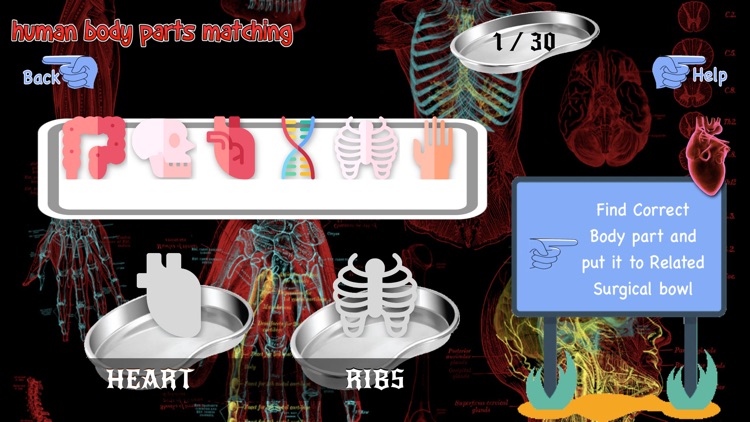 Human Body Parts Matching