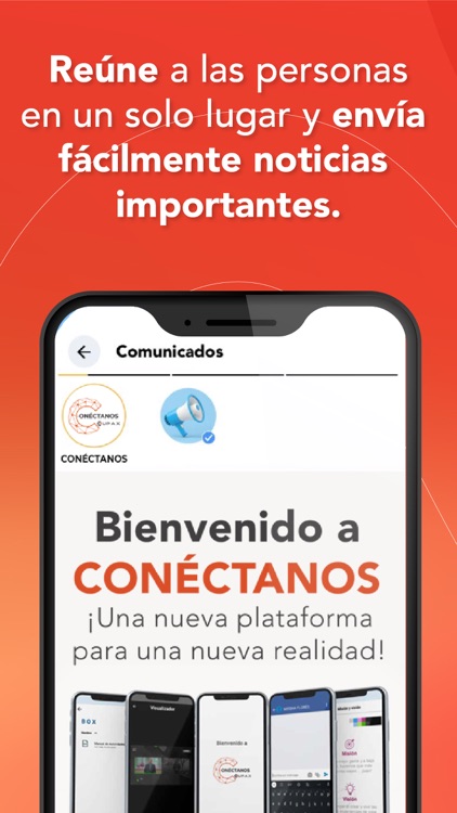 CONÉCTANOS screenshot-3