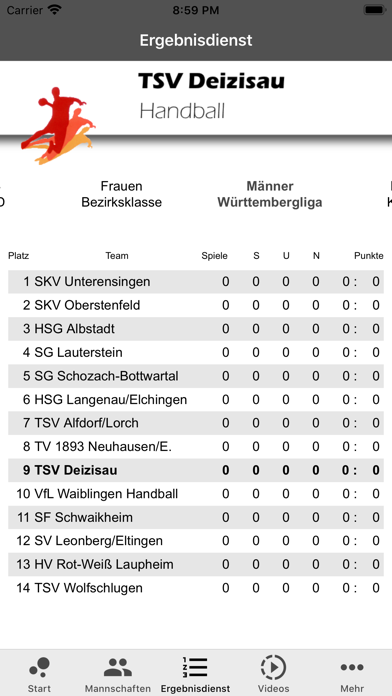 TSV Deizisau Handball screenshot 4