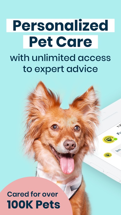 Track Your Pet's Health With These Apps