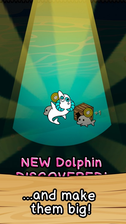 Dolphin Evolution