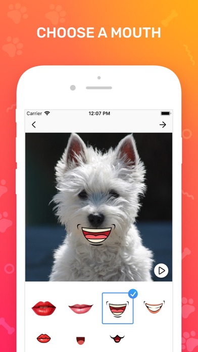 Make Your Pet Talk: Filters screenshot 2