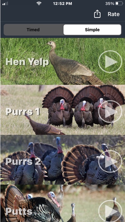 Wild Turkey Calls