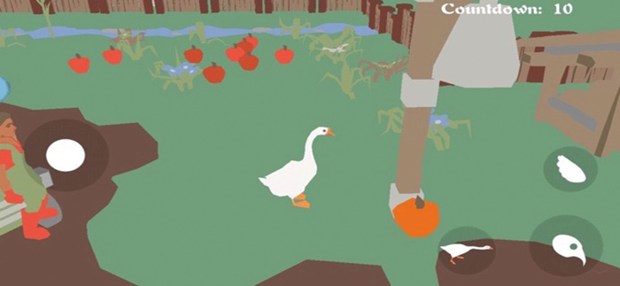Big Goose Simulator
