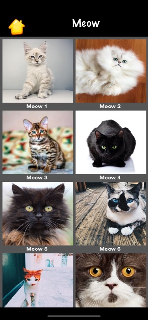 Cat Sounds Meow Talk On The App Store