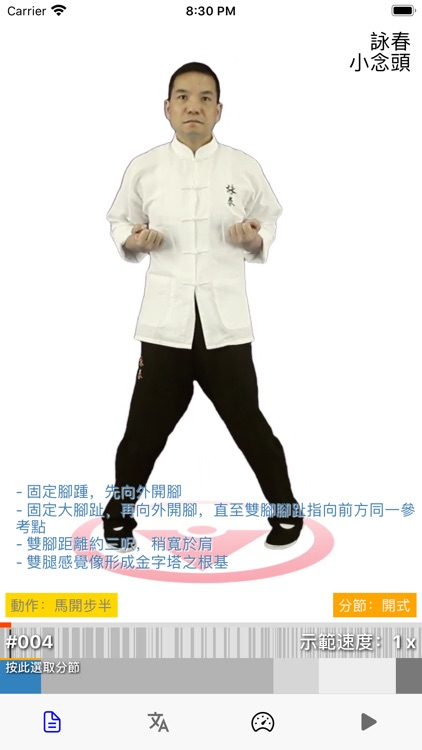 Wing Chun Siu Nim Tau Form