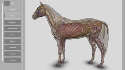 3D Horse Anatomy Software