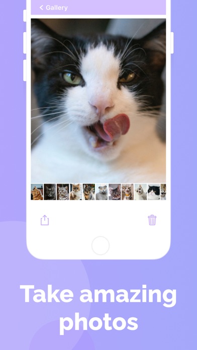 Cat's Cam: selfie of your pet screenshot 2