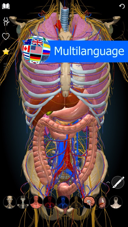 3D Anatomy Learning - Atlas