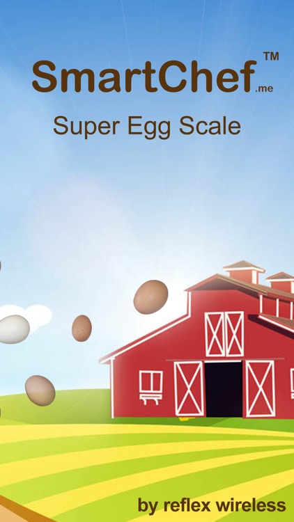 Super Egg Scale