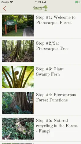 Game screenshot Pterocarpus Forest hack