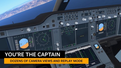 Infinite Flight Simulator Infinite Flight Simulator
