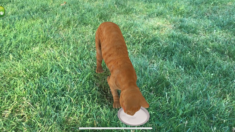 AR Petting Zoo 2 screenshot-5