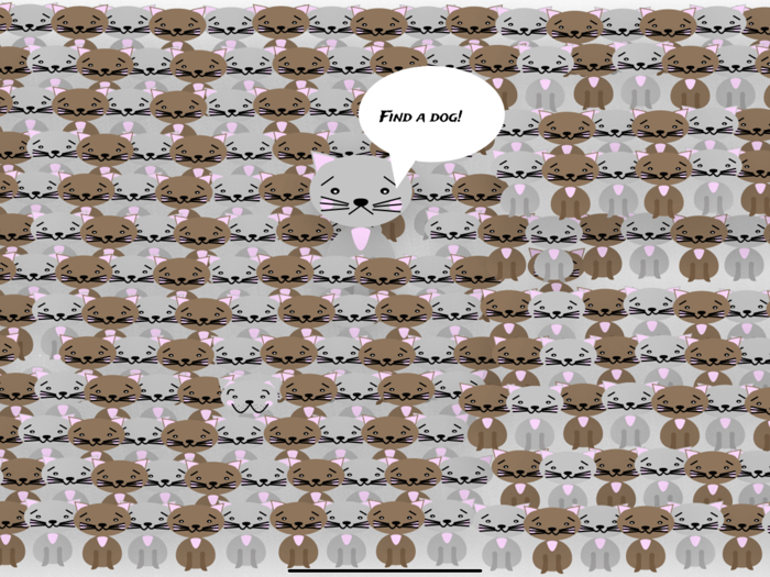 Cat looking for a tail