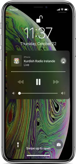 Game screenshot Kurdish Radio Ireland apk