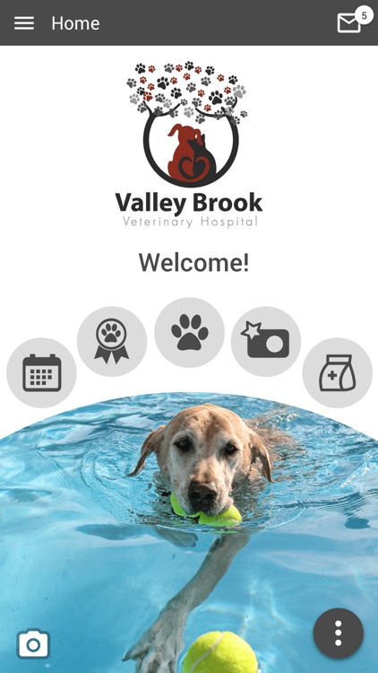 Valley Brook Vet Hospital