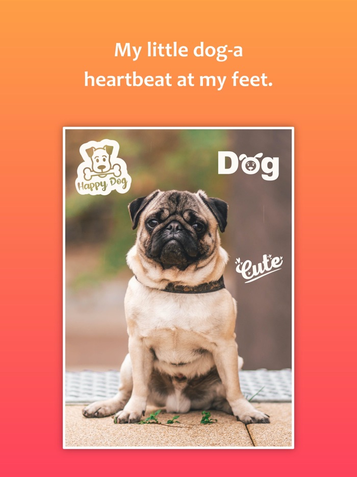 Pet Photo Editor - Pet Picture