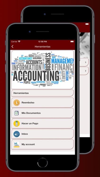 FE Tax Service screenshot-4