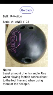 in my bag virtual bowling bag iphone screenshot 3