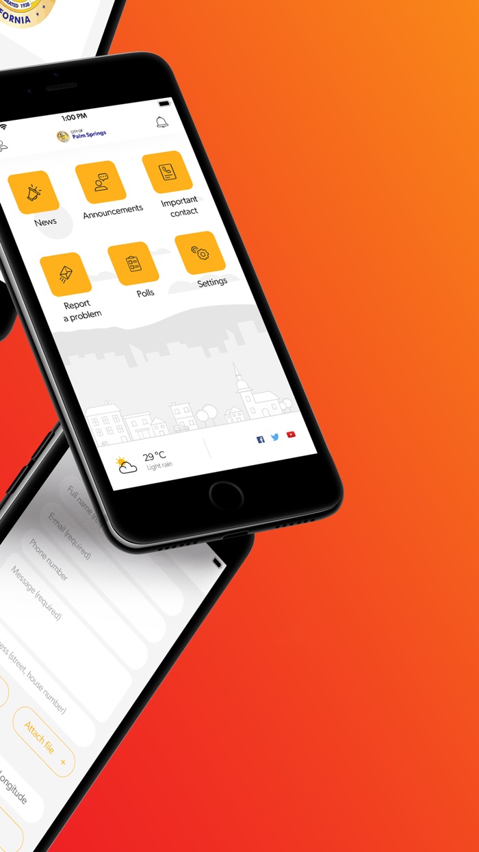 Palm Springs Simplicity