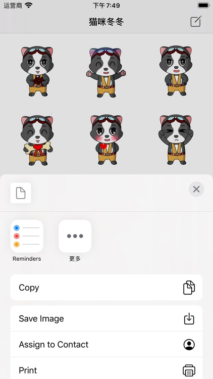 猫咪冬冬