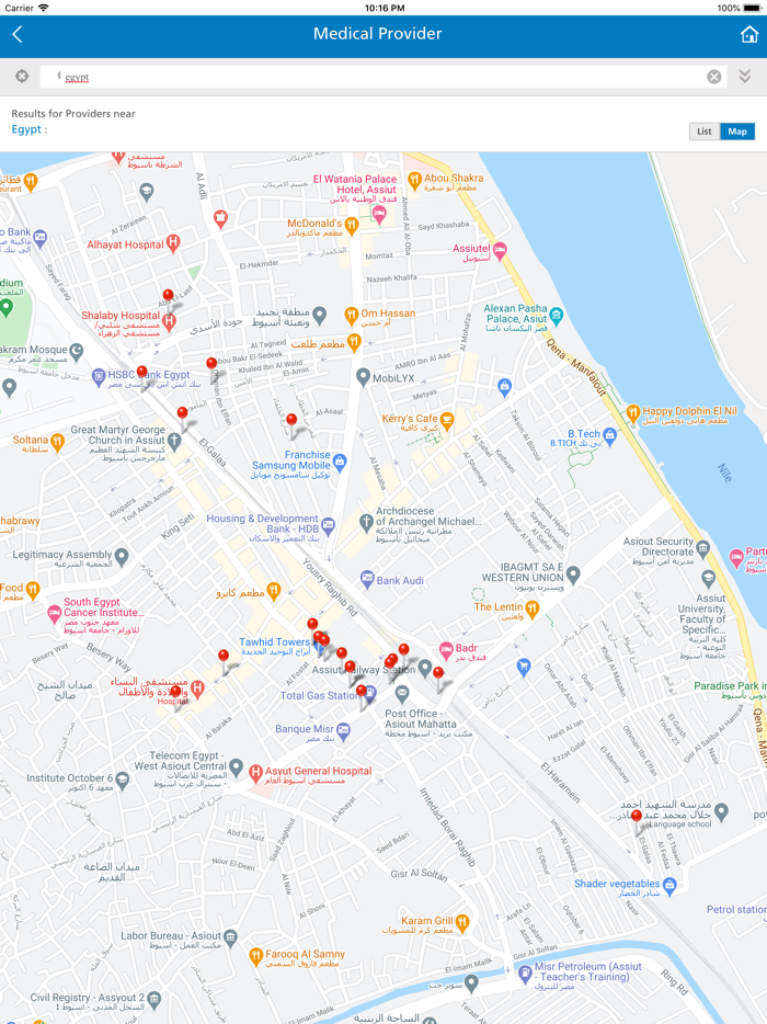 MetLife eServices Egypt