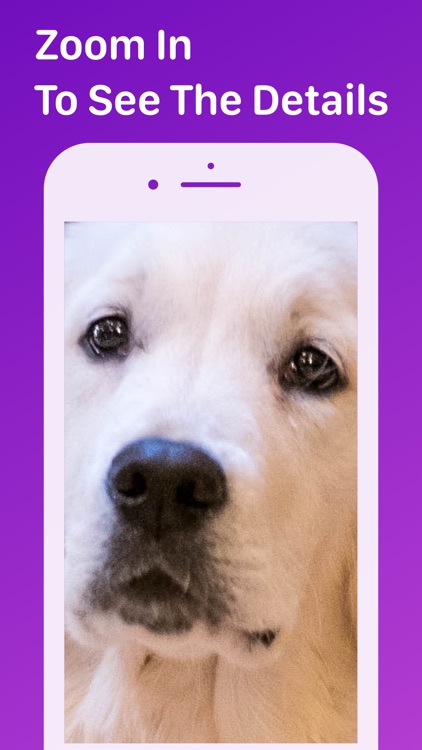 Pet Monitor VIGI screenshot-5