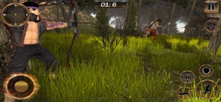 Assassin jungle War, game for IOS