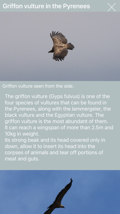 Nature Contents screenshot-8