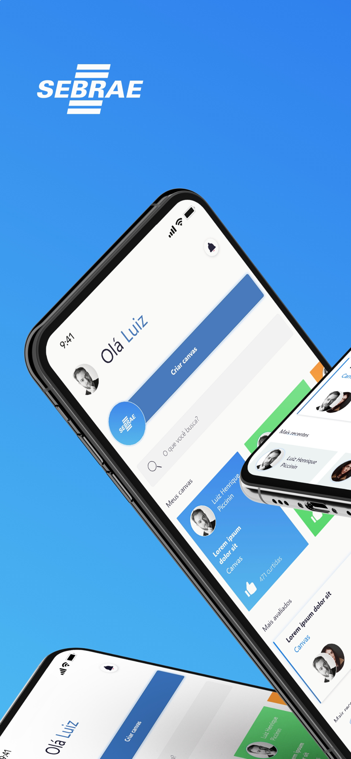 SEBRAE Canvas