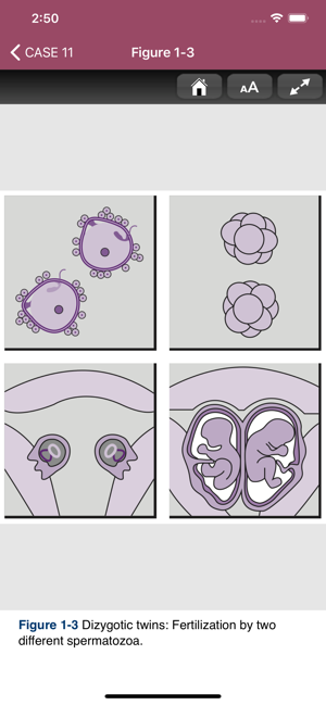 Neonatal-Perinatal Med. Review(圖6)-速報App