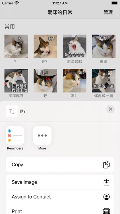 爱咪的日常表情